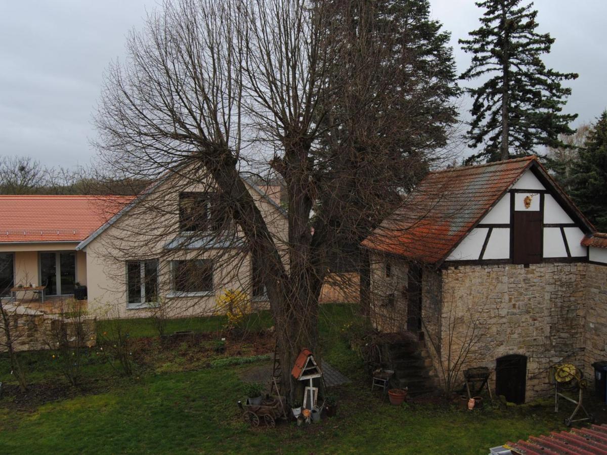 Ferienhaus Lindenhof Nohra  المظهر الخارجي الصورة